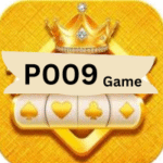 P009 Game