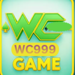 WC999 Game