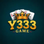 Y333 Game